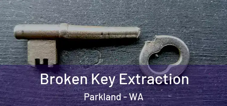  Broken Key Extraction Parkland - WA