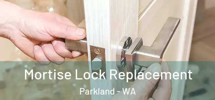 Mortise Lock Replacement Parkland - WA